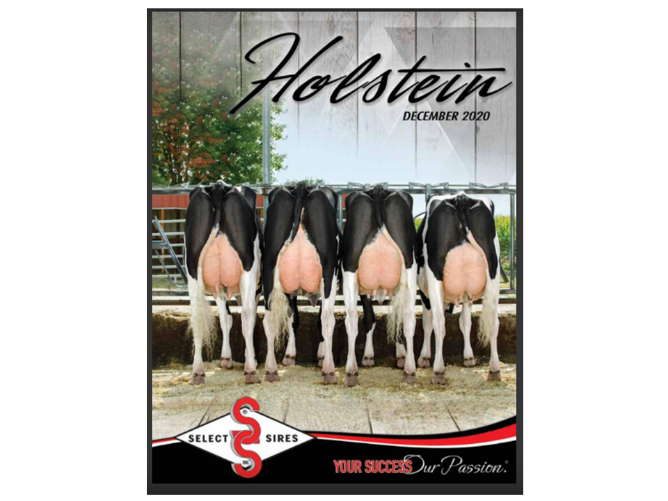 Select Sires Holstein Dec. 20